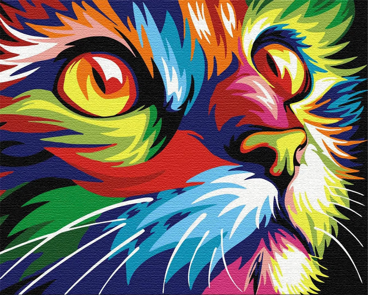 Artnapi Pintura por números Adultos con marco | DIY pintado a mano | Animales - Gato de colores | Kit para principiantes y adultos | Set que incluye pinturas acrílicas y pinceles | Lienzo 40x50cm