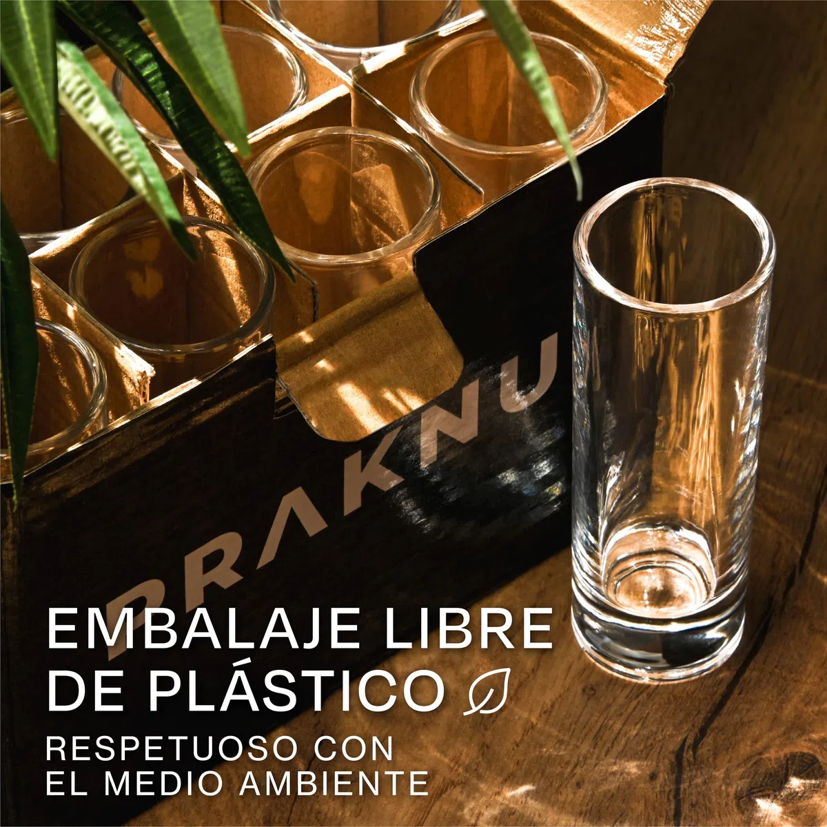 12 Vasos de Chupito de Cristal Largos de 5cl - Aptos para Lavavajillas - Estables gracias a su Base Gruesa - Ideales para Fiestas