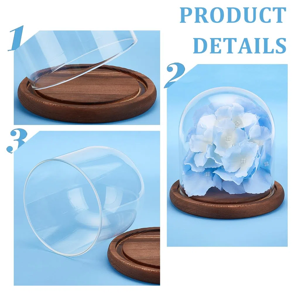 BENECREAT 14 x 13 cm, cubierta de cristal transparente de flores eternas, cúpula Cloche Micro Paisaje con base de madera maciza para manualidades de flores
