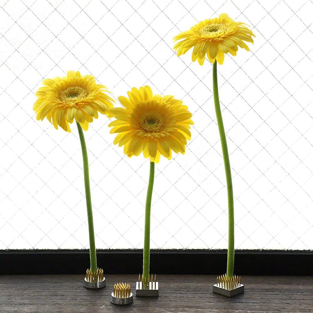 Wazakura 4 Mini Kenzan para Ikebana (24mm) para Arreglos Florales, Hecho en Japón, Herramienta Japonesa para Ikebana Soporte de Alfileres para Flores - Set 4 Piezas kenzan de latón