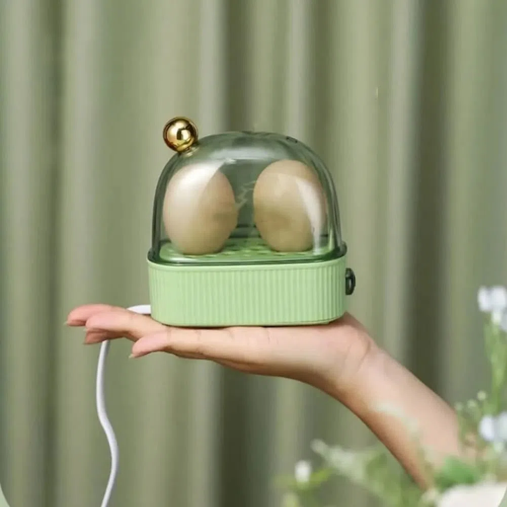 Hervidor de Huevos Eléctrico Automático, Hervidor Rápido de Huevos, Máquina de Desayuno, Hervidor de Huevos Multifunción para 2 Huevos, Enchufe Europeo, Color Verde.