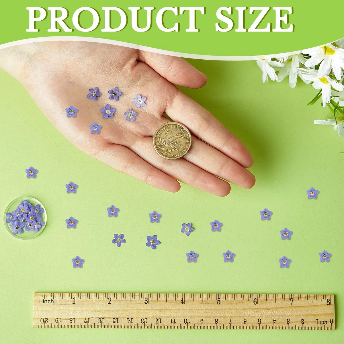 80 Flores Secas Reales Flores Prensadas Secas Naturales No me Olvides Azul con Pinzas de Codo para Resina Bricolaje Joyas Tarjetas Velas Artesanías Decoración de Uñas