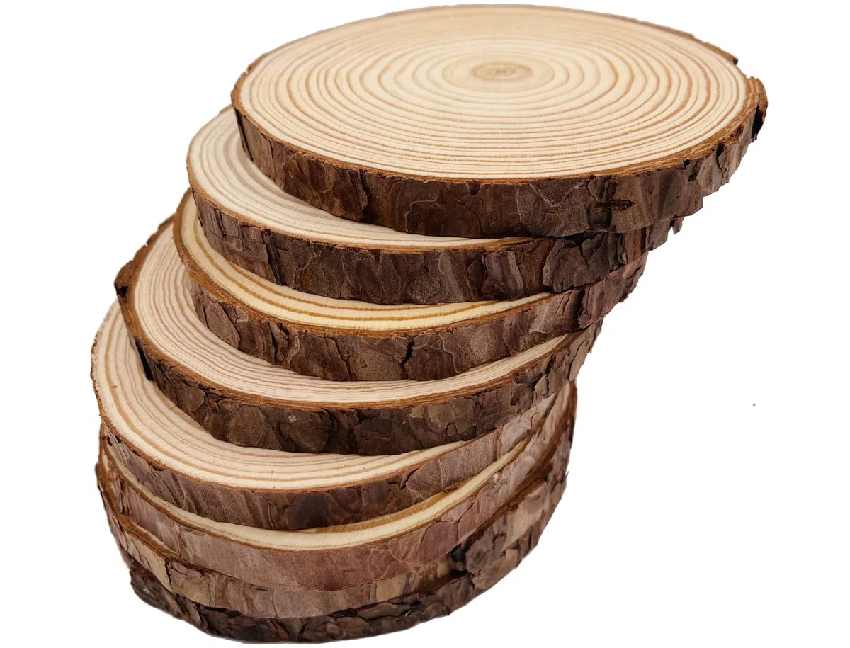 William Craft Rodajas de Madera Diámetro 14-15 cm 8pcs Troncos Madera Decoracion Apto para Pirograbador de Madera, Pintura,Navidad