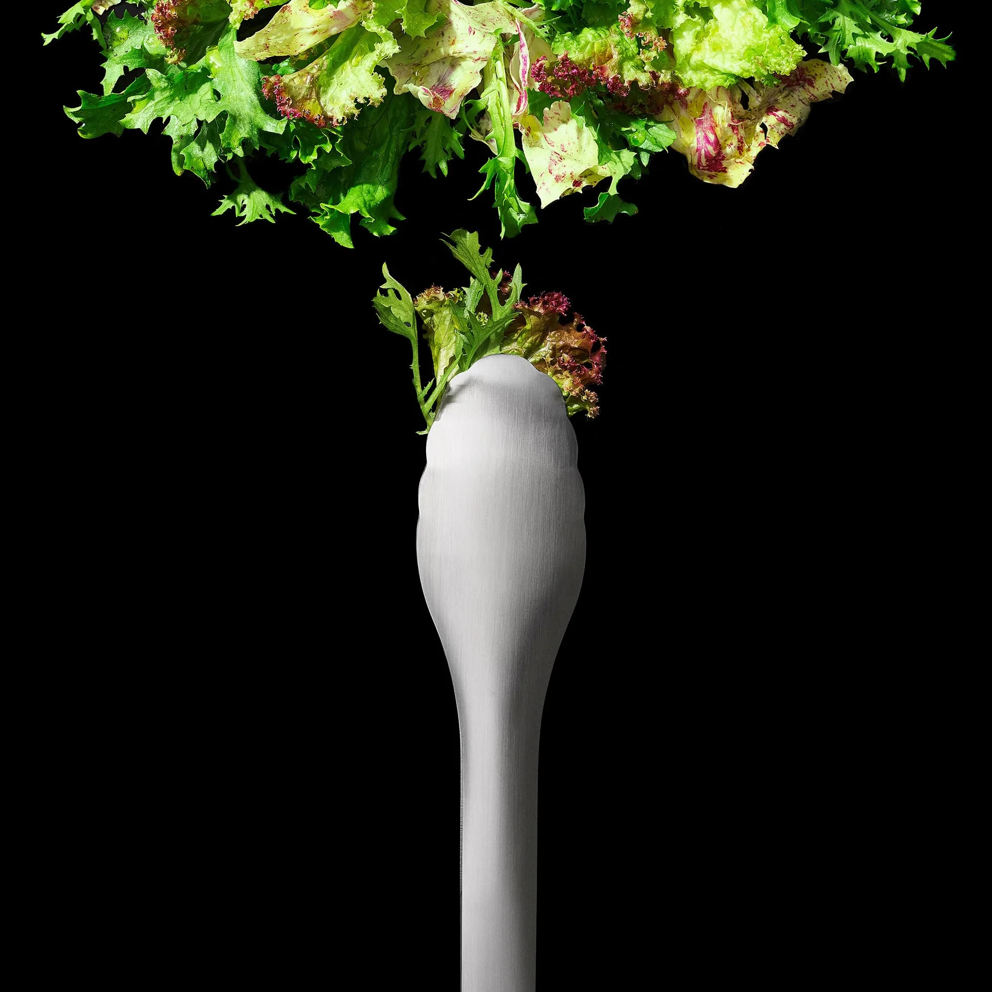 OXO Steel - Pinzas para servir