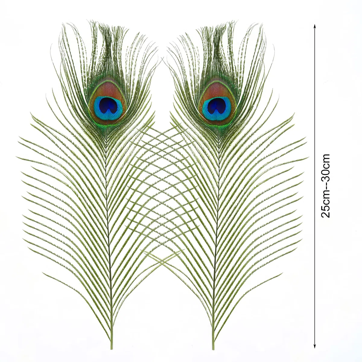 MWOOT 50 pcs Plumas Pavo Real, Plumas Ojo Pavo Real Verde para Arte de Manualidades Bricolaje, Plumas Cola Pavo Real para Decoración Banquete de Boda de la Mascarada del Carnaval (28-32CM)
