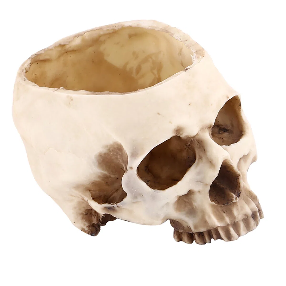 Cabeza de Calavera de Resina, Cabeza de Calavera de Resina Artificial, Cabeza de Calavera Humana Realista, Modelo de Hueso, Cabeza de Resina Moderna con Forma de Calavera, Maceta, Maceta, Contenedor,