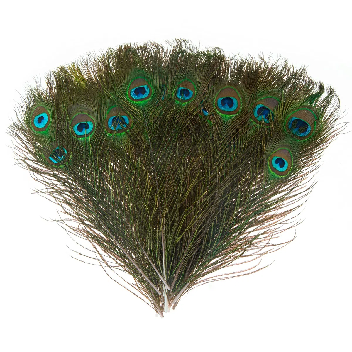 MWOOT 50 pcs Plumas Pavo Real, Plumas Ojo Pavo Real Verde para Arte de Manualidades Bricolaje, Plumas Cola Pavo Real para Decoración Banquete de Boda de la Mascarada del Carnaval (28-32CM)