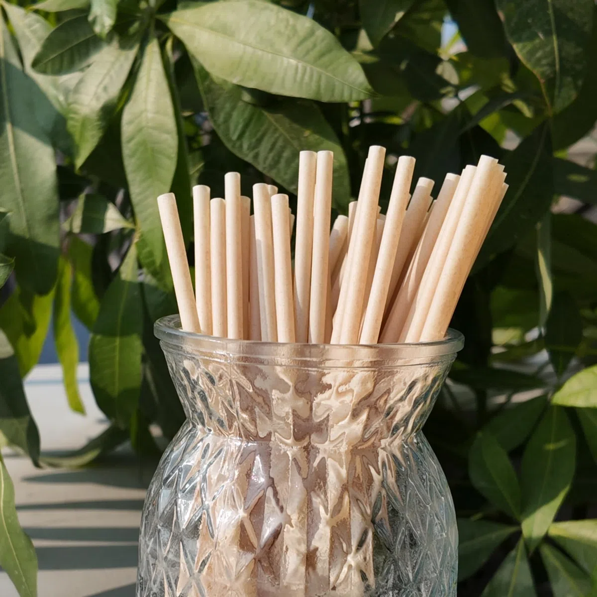 400Pcs Pajitas desechables de bagazo, pajita plana recta de 21 cm, 5,5 mm de diámetro, pajita biodegradable de caña de azúcar para fiestas, zumos de frutas, cócteles, cocina, club (400)