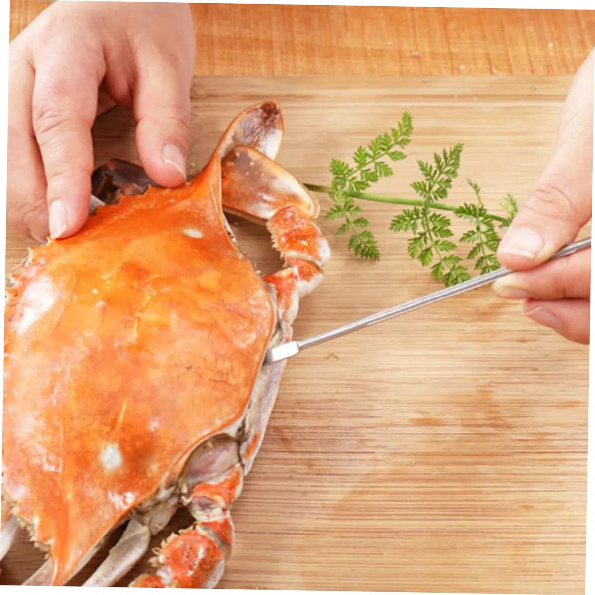 KICHOUSE 1Juego Herramientas para Mariscos Acero Inoxidable Galletas para Cangrejo y Tenedores de Marisco Accesorios de Cocina Elegantes