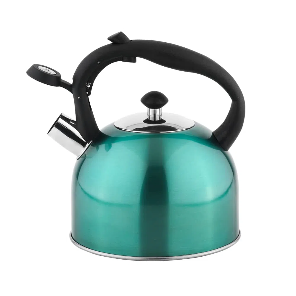 Amazon Basics Hervidor de acero inoxidable, 2.3 litros, Teal