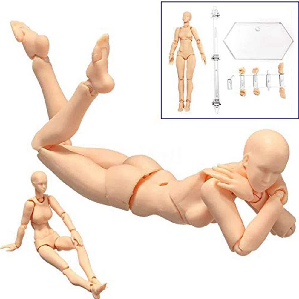 Body Doll, Artistas Maniquí Blockhead Articulado Maniquí Dibujo Figuras Conjunto Masculino + Femenino (Gris)