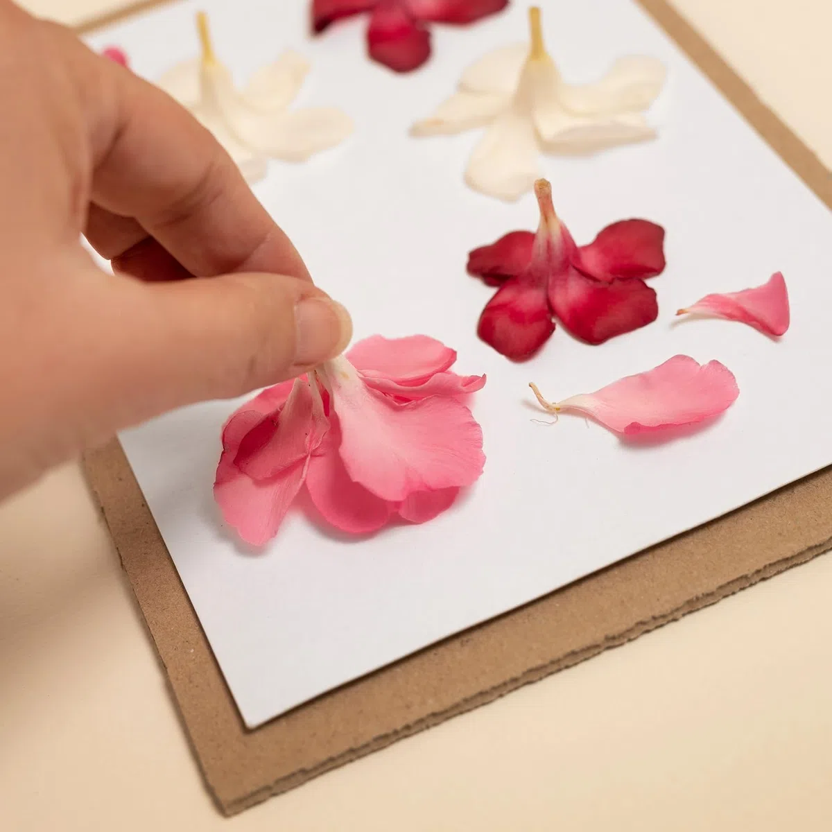 PATIKIL 12"x8" Flor Prensa Papel, 1 Juego/30 Hoja Recarga Revestimiento Secante Papel Absorbente Reutilizable Secante Papel para Bricolaje Arte Artesanía Recortes Álbum