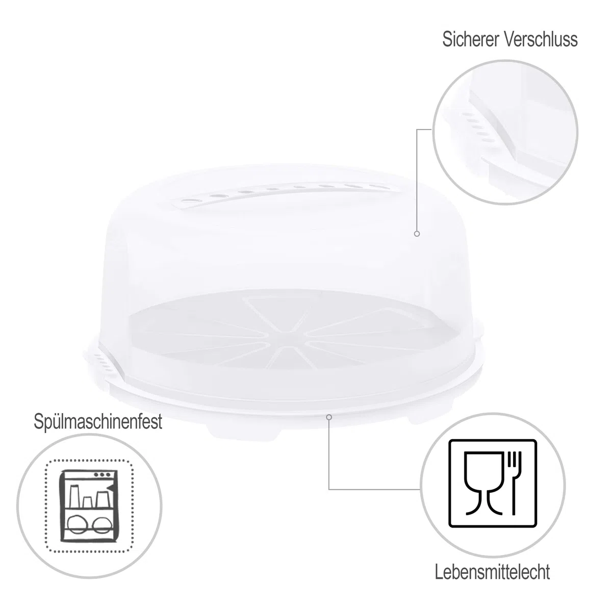 Rotho Fresh, campana de alta torta con capucha y asa de transporte, Plástico PP sin BPA, blanco, transparente, 35.5 x 34.5 x 16.5 cm
