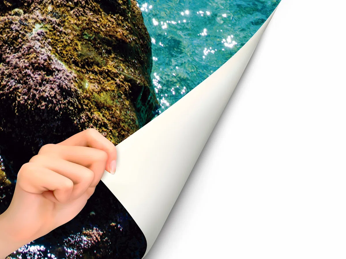 Oedim Vinilo para Frigorífico Cala de Maro 185x60cm | Adhesivo Resistente y Económico | Pegatina Adhesiva Decorativa de Diseño Elegante