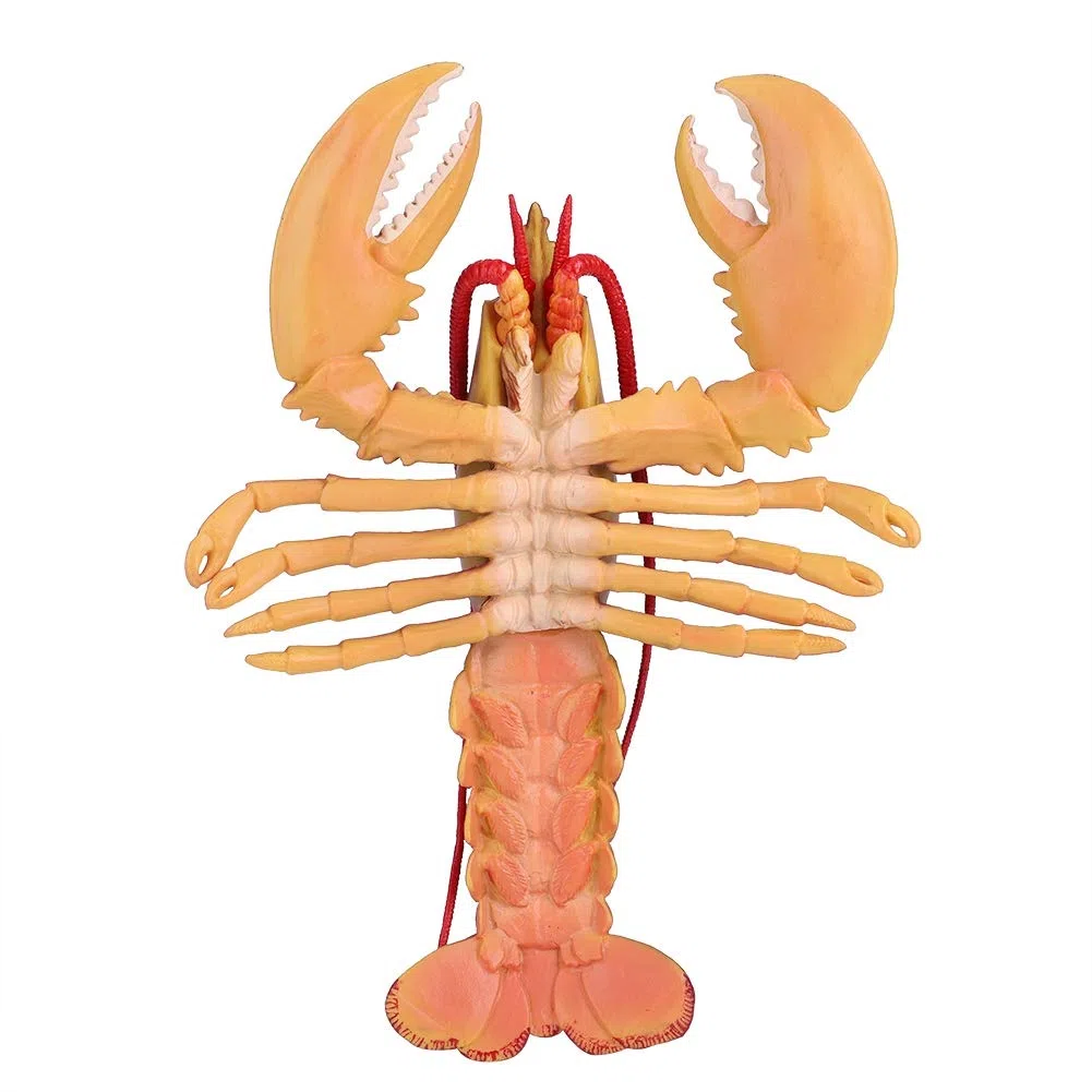 Decoración de langosta de plástico, langosta de plástico suave y(Dark-Australian Lobster, 23cm)