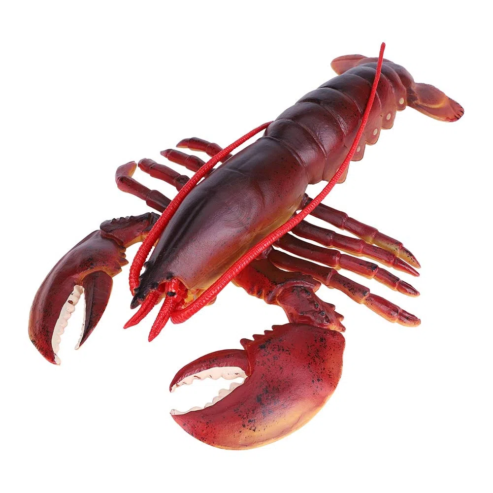 Decoración de langosta de plástico, langosta de plástico suave y(Dark-Australian Lobster, 23cm)