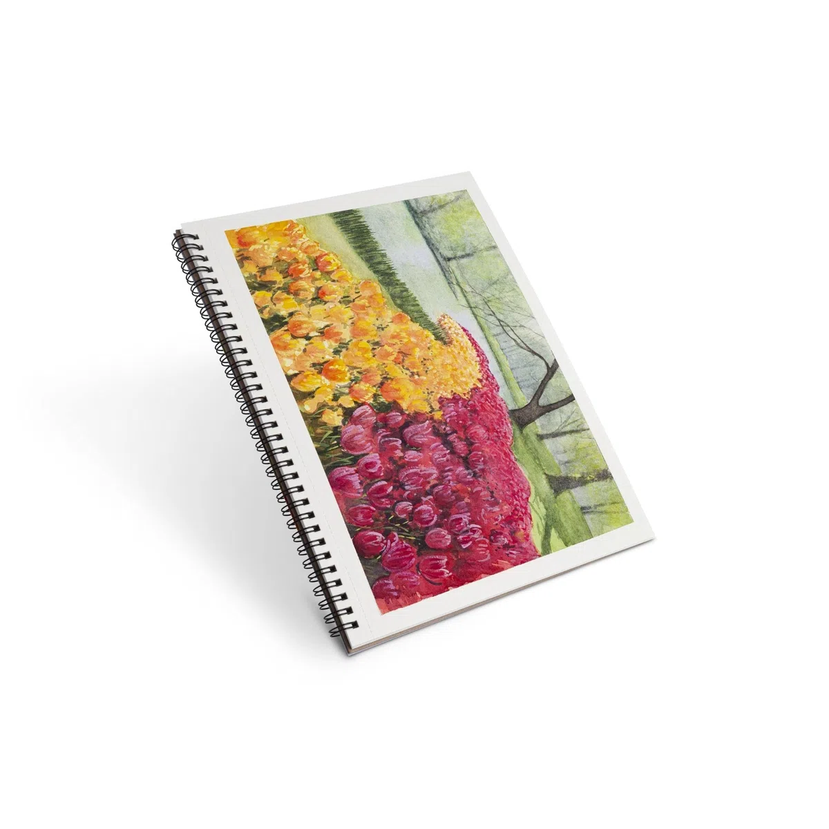 Elan cuaderno de bocetos de acuarela A4, 15 hojas/30 páginas de 280 g/m², papel de acuarela 100% algodón, encuadernado en espiral