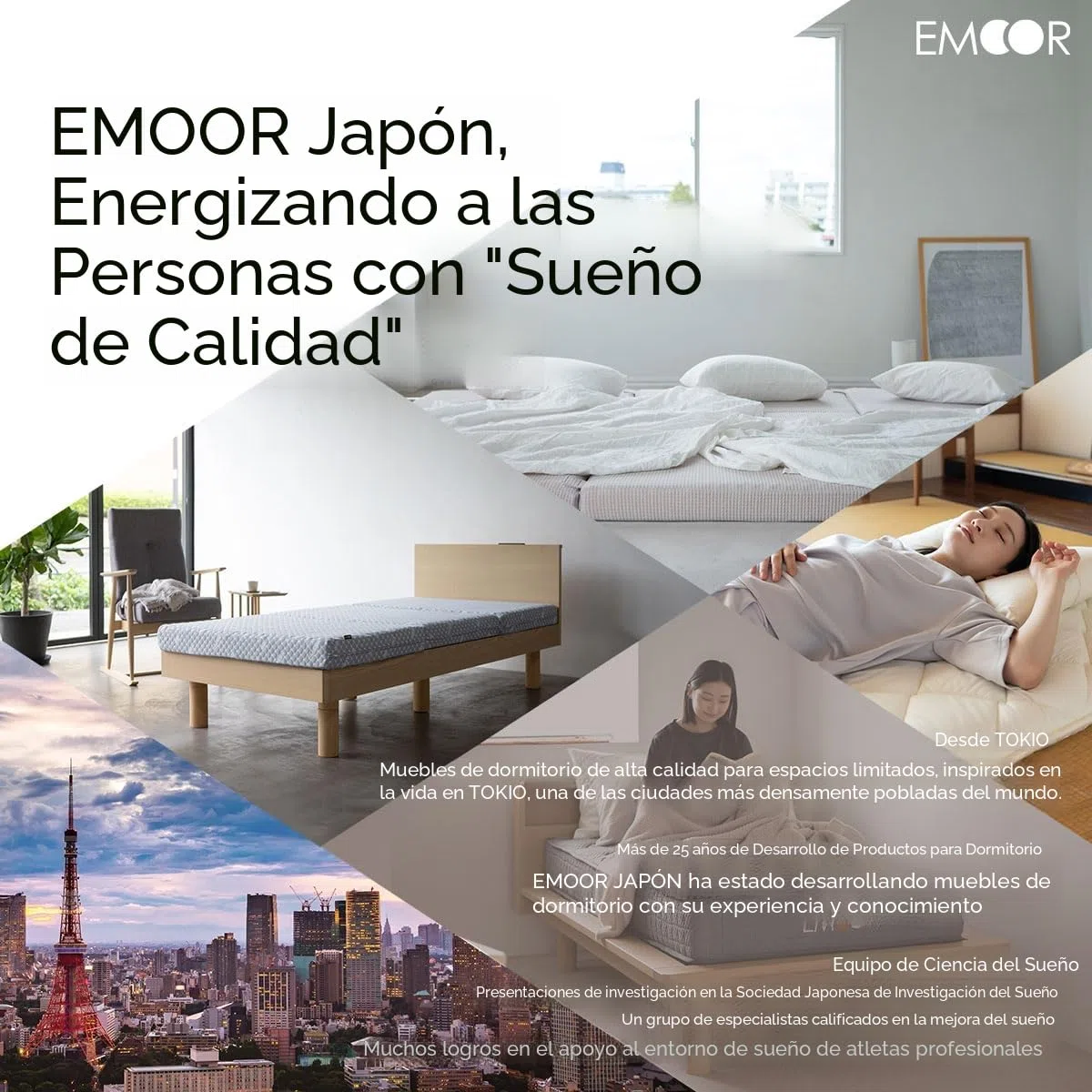 EMOOR Conjunto de Futón Japonés Plegable (Japanese Folding Futon Mattress) Colchón, Edredón y Almohada CLASSE 160 x 200 cm Fabricado en Japón Blanco, Algodón Cama Dormir en el Suelo Tatami