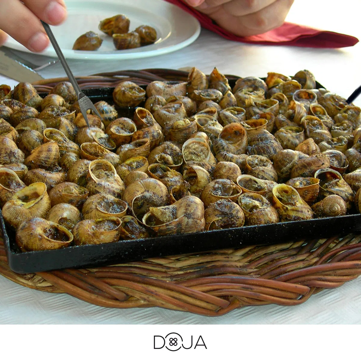 DOJA Barcelona | Llauna Caracoles de Hierro Esmaltada 26x30 | Llauna para Arroz | Para Horno o Parrilla Barbacoa | Llauna Cargols con Asas para Asar | Bandeja Horno Hierro - Bandeja Barbacoa | Mediana