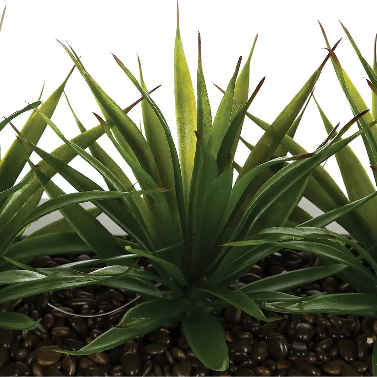 Atmosphera - Centro de Mesa 3 Aloe Vera Artificial H17 cm