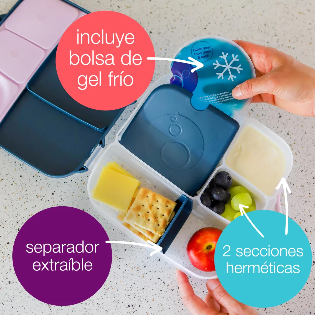 b.box Lunch Box para Niños | Fiambrera Infantil Bento Grande con 4 Compartimentos (2 Herméticos), Separador Extraíble, Bolsa de Gel Frío | Fiambrera para Niños Ideal para Escuela | 3+ Años | 2 L