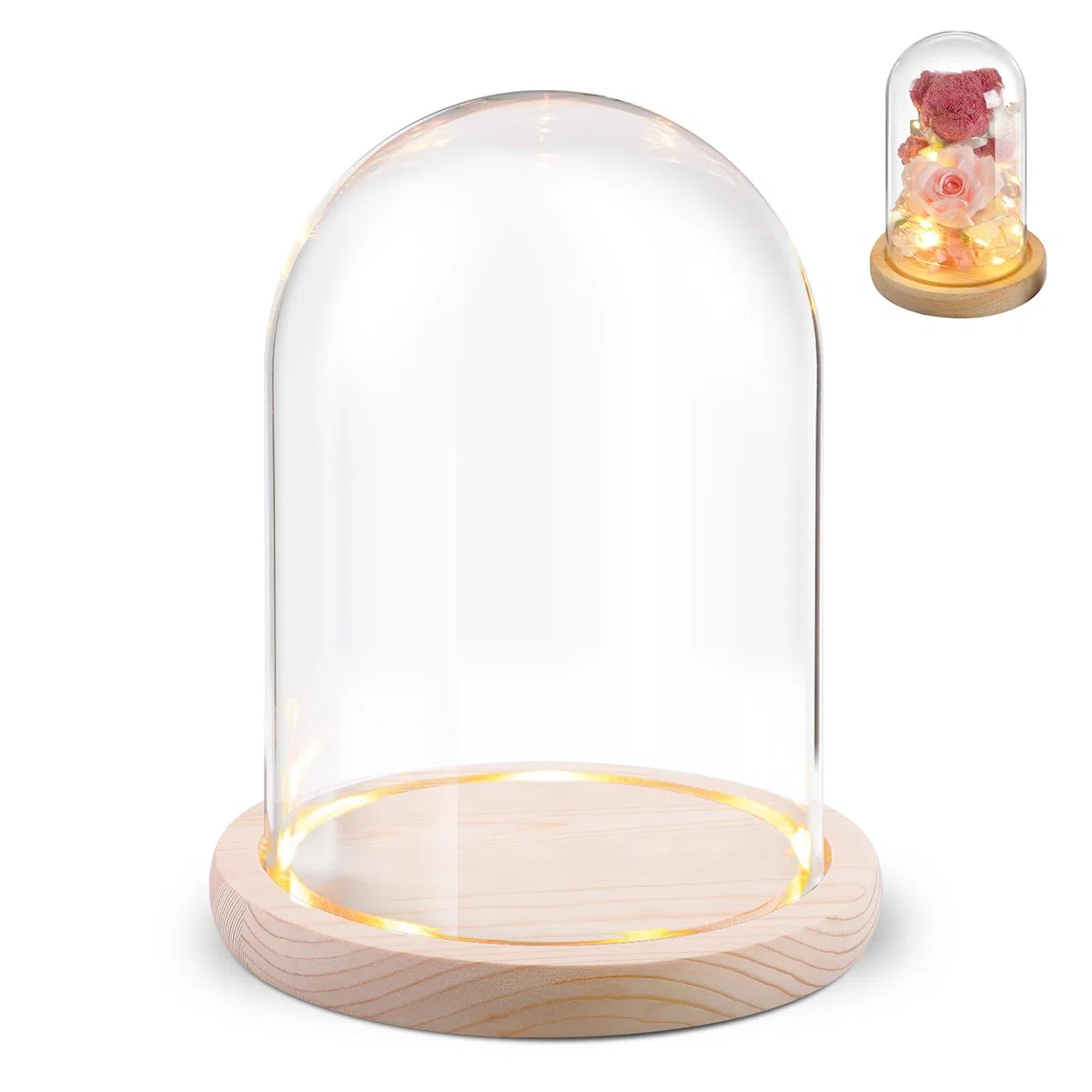 BORDEAG Campana de cristal con suelo de madera, campana de cristal decorativa con base de madera, cúpula de cristal con base de madera natural, cúpula de cristal decorativa alta, cúpula de cristal