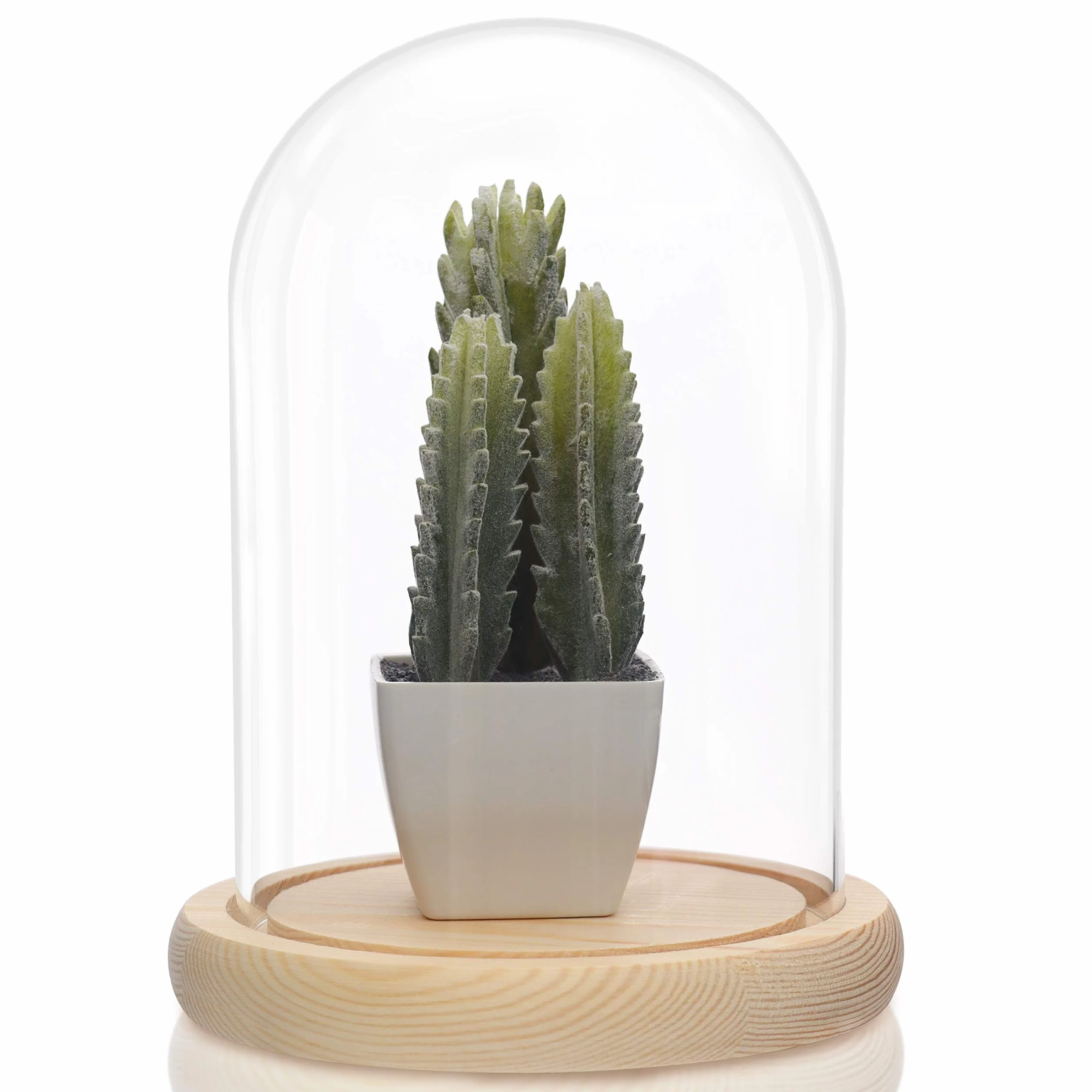 Belle Vous Cúpula Cristal Jarra Domo Campana con Base de Madera Natural – 20cm - Campana Decorativa Transparente Centro de Mesa para Luces de Hada - Urna Antigüedades