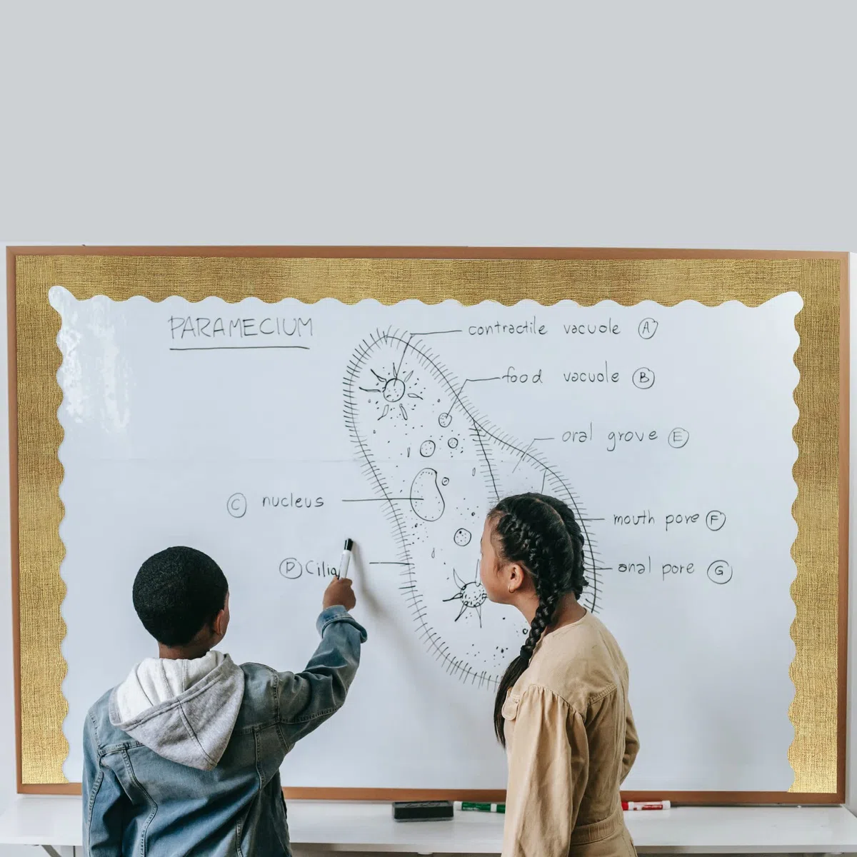 AIEX 66 pies/20 m Borde Tablón de Anuncios, Adorno de Borde Estilo Arpillera Borde Enrollado para Tablones de Anuncios Pizarras Blancas Escritorios Carteles decoraciones para Escuela Oficina Hogar