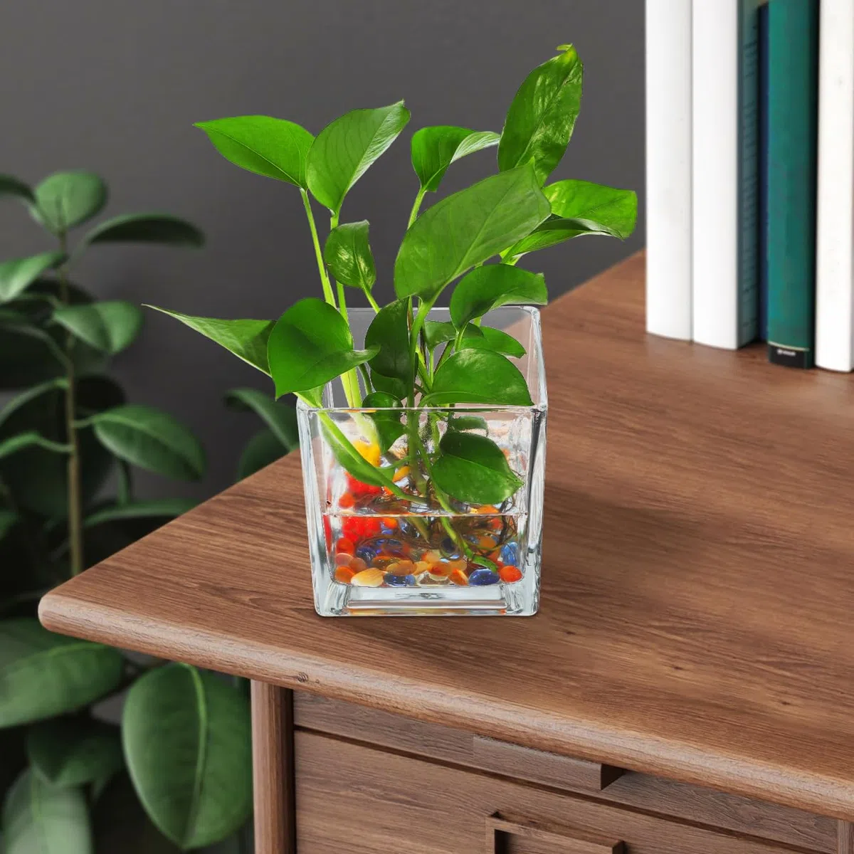 STOBAZA Jarrón De Cristal Cuadrado 10X10cm Florero De Cubo Transparente Macetero Hidropónico Portavelas para Mesa De Boda Centro De Mesa Decoración De Oficina En El Hogar