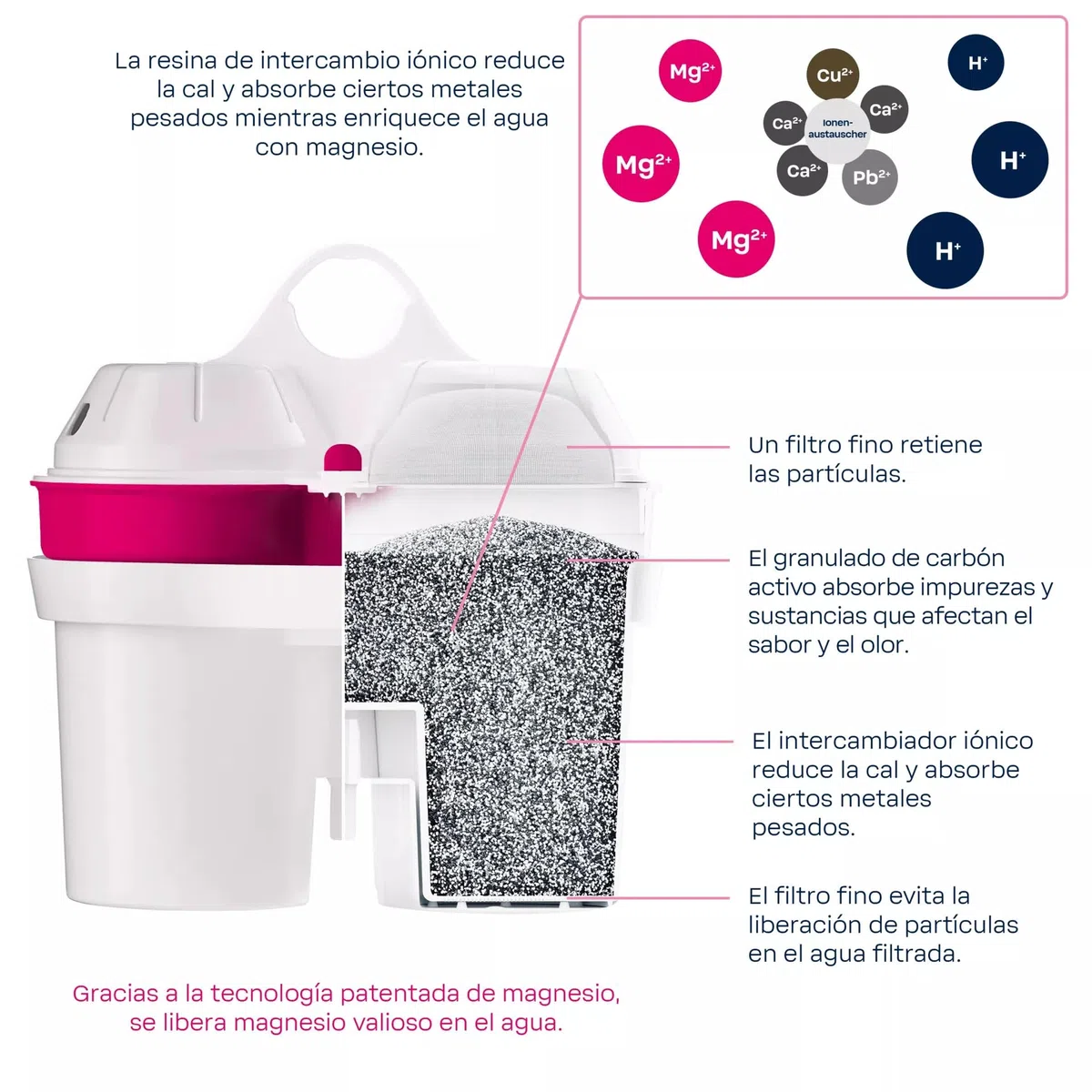 BWT Filtro de agua Vida White de 2,6 L | Filtro con 1 cartucho de filtro de magnesio | Filtro de agua potable | Filtra cal, cloro, plomo y cobre