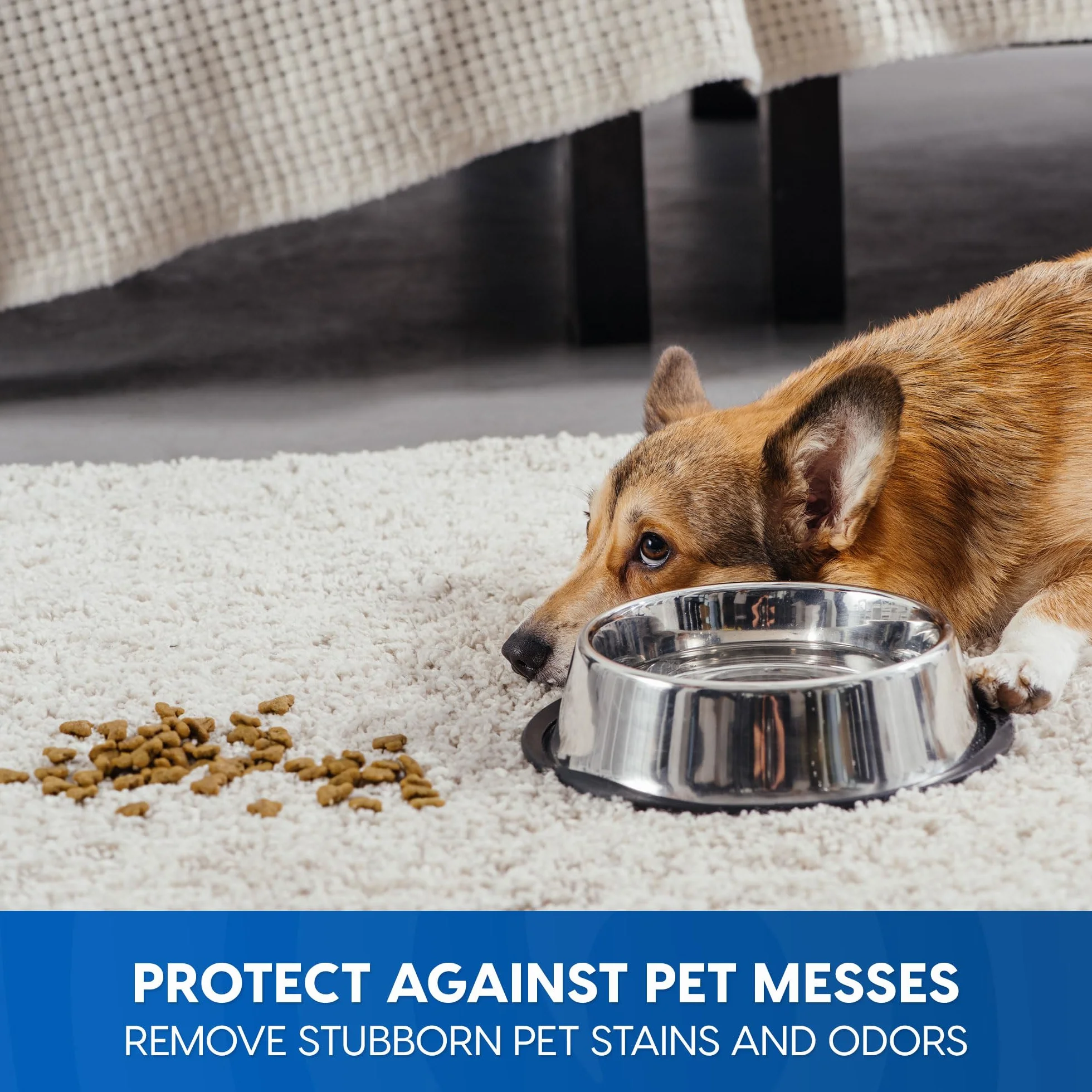 Vacmaster Clean & Restore Carpet Cleaner Formula – CCS04