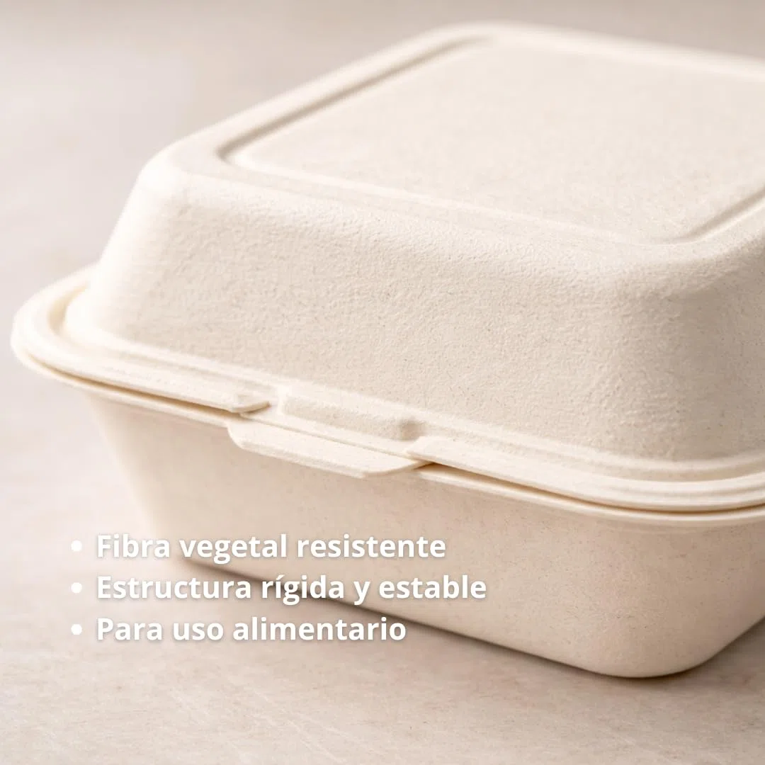 Envases Desechables para Alimentos 500 ml Pack 50 Unidades | Tupper Desechables Biodegradables con Tapa 152x152 mm | Cajas Comida para Llevar Aptas Microondas y Horno (50)