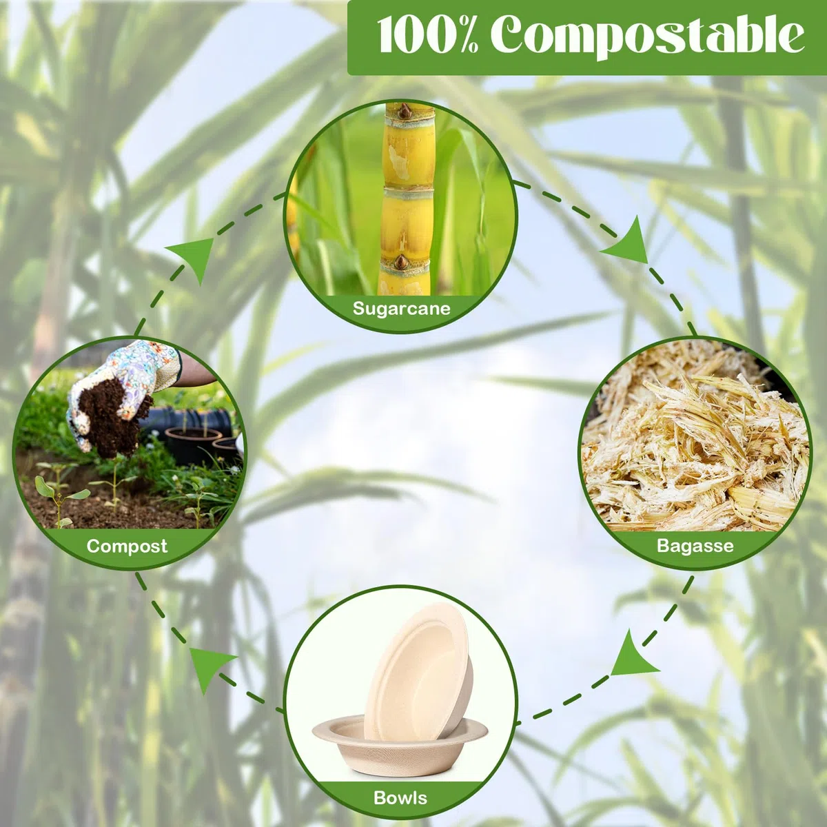 100 cuencos de cartón desechables, 350 ml, cuencos desechables desechables de caña de azúcar, cuenco redondo marrón compostable