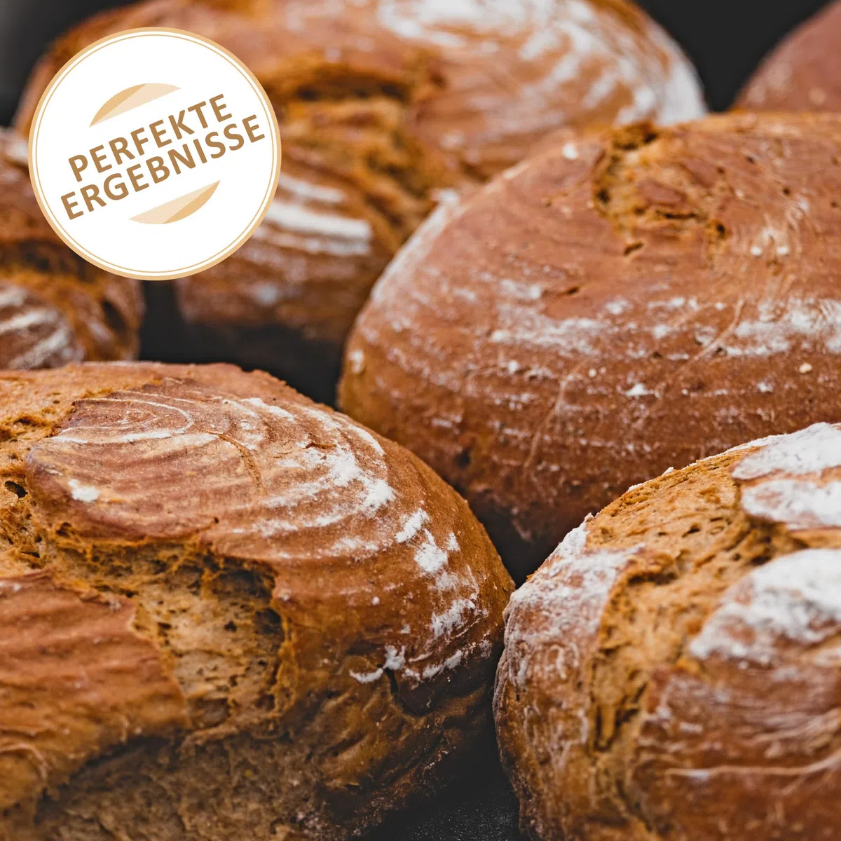 Cesta de fermentación con inserto de lino lavable - cesta de fermentación de mimbre natural - cesta de pan (Cesta de fermentación redonda - 1 pieza)